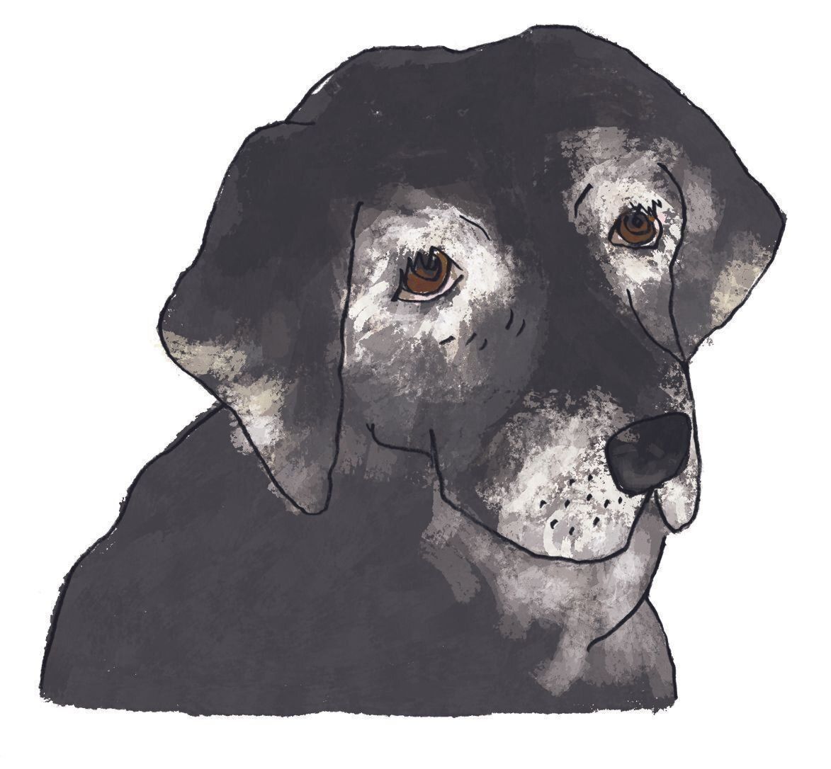 イラスト／五嶋直美