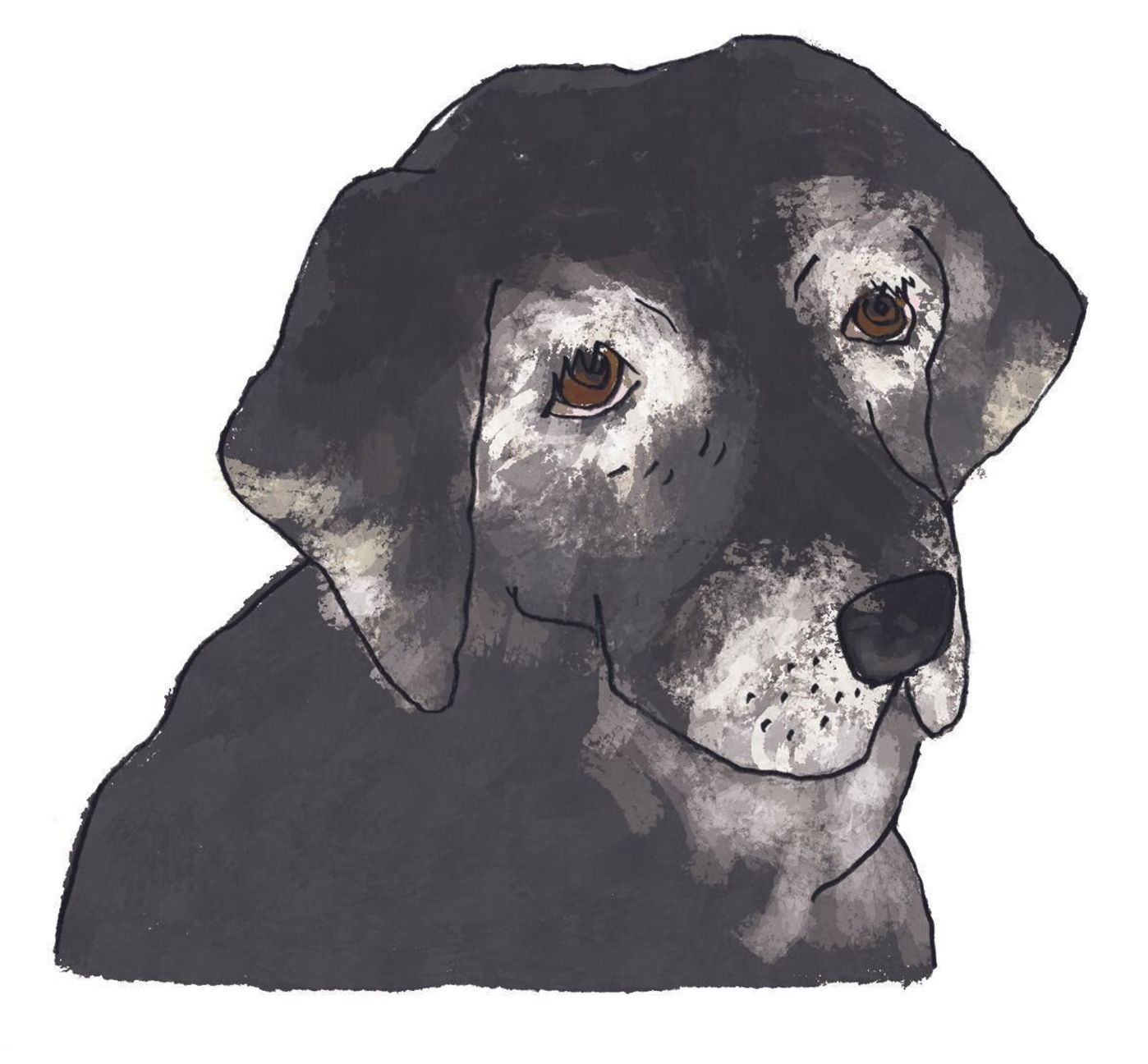 ナックリング って何 慌てないために知っておきたいシニア犬用語 いぬのきもちweb Magazine ナックリング って何 慌てないために知っておきたいシニア犬用語 いぬのきもちweb Magazine