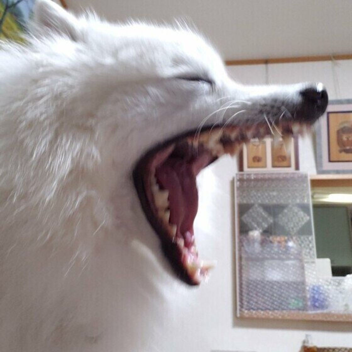 W0fwb18kwfaldm W0fwb18kwfaldm