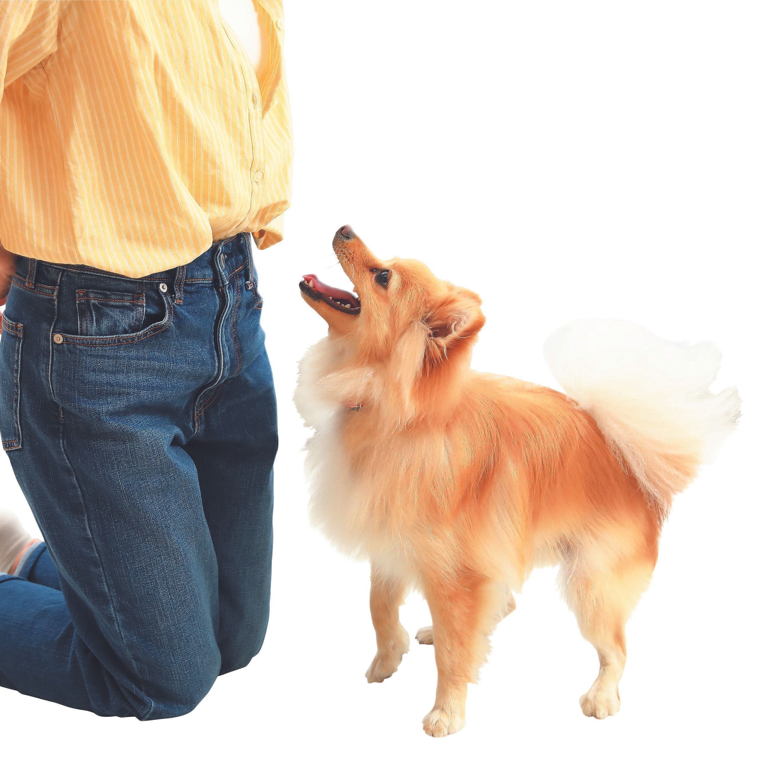 撮影／尾﨑たまき