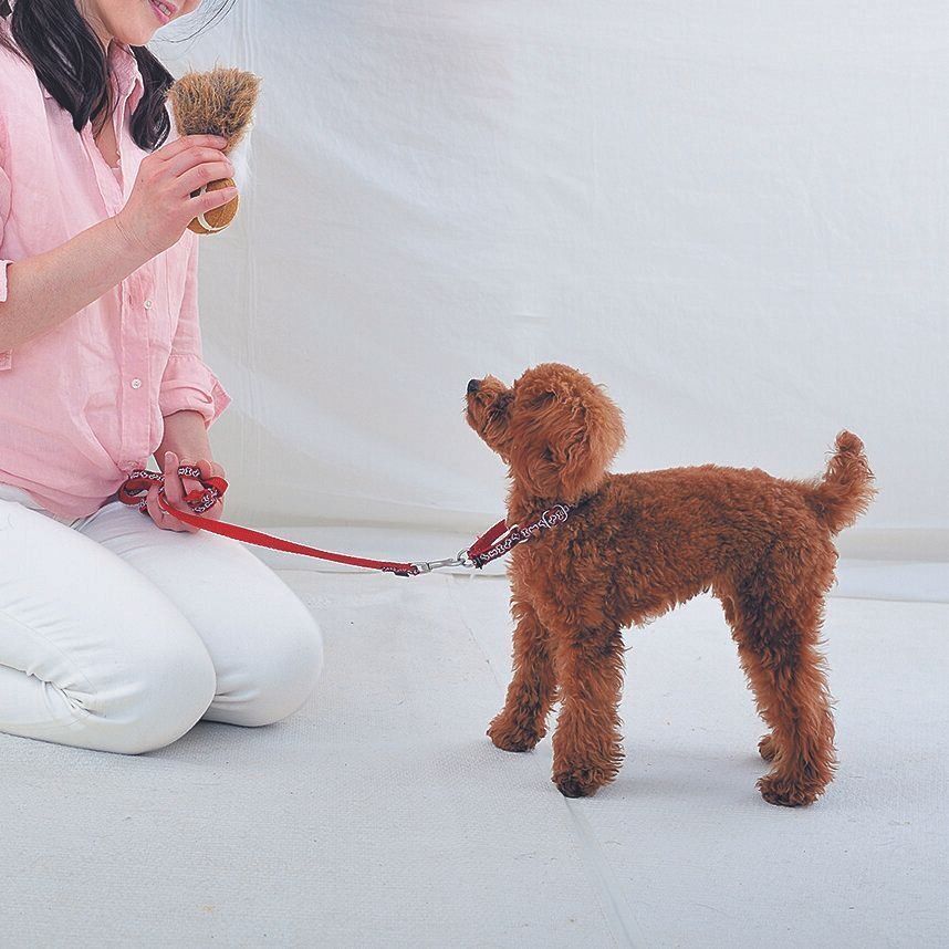 撮影／佐藤正之