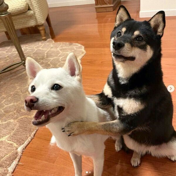 仲良しなずうちゃん、トットくん