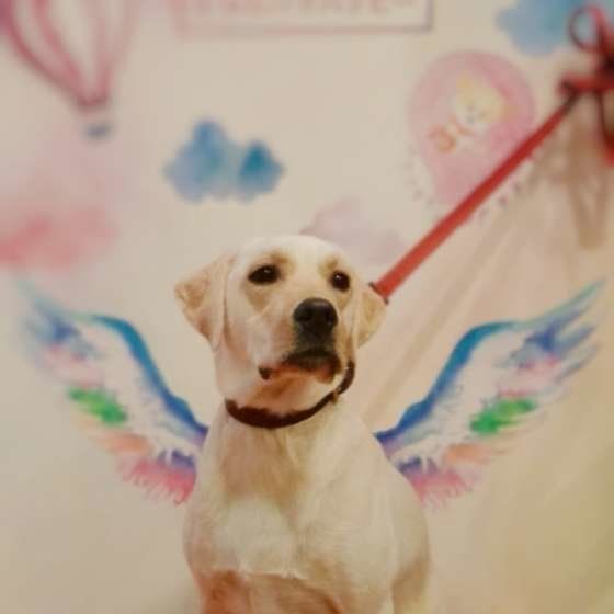 つくしちゃんの記念写真