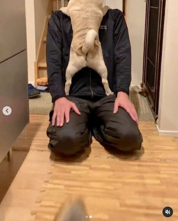 帰宅したパパさんを歓迎するラルくんと、塩対応なアキちゃん