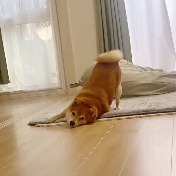 拗ねる八朔くん