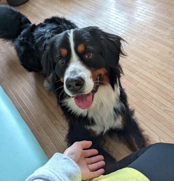 笑顔が可愛いまさおくん