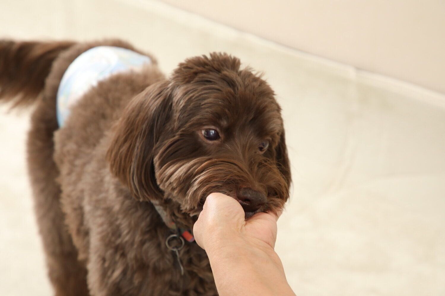 撮影／尾﨑たまき