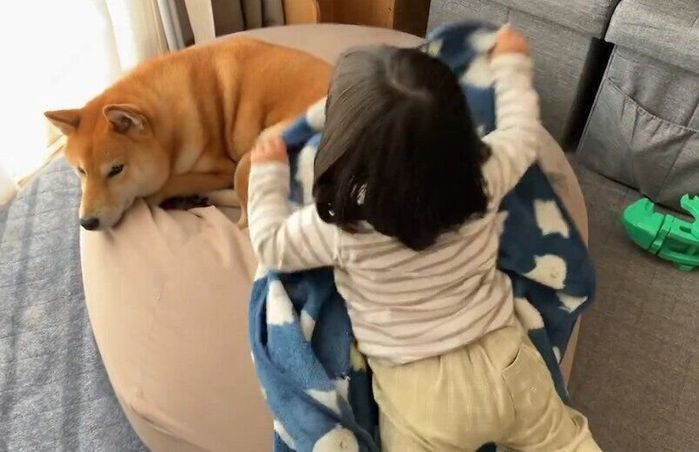娘さんに布団をかけてもらうコマさん