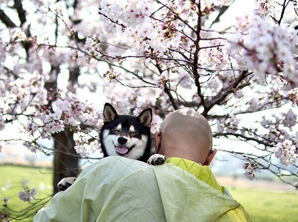 笑顔のすみすみちゃん