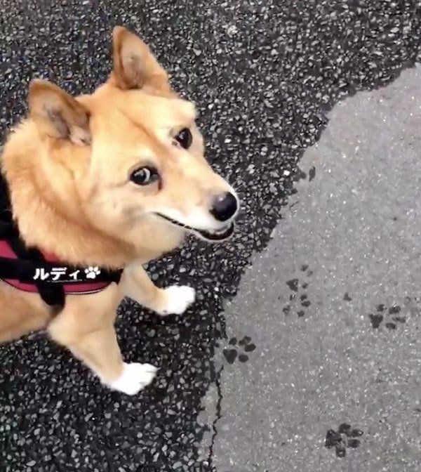 笑顔で歩くルーさん