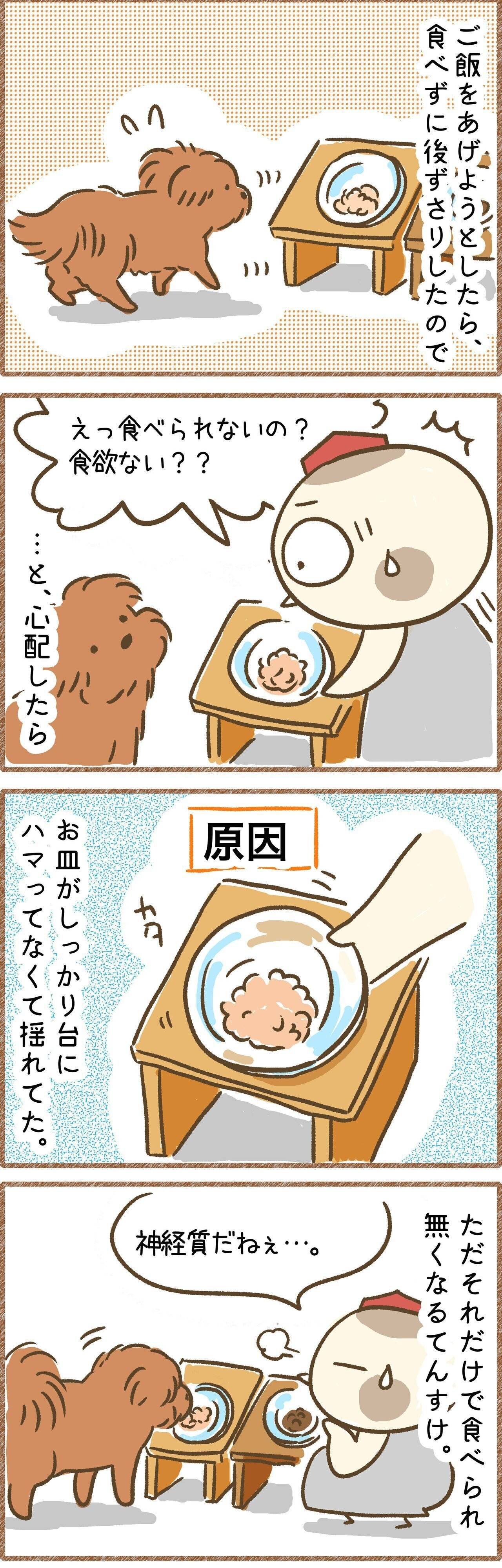 連載「こぐま犬てんすけ」