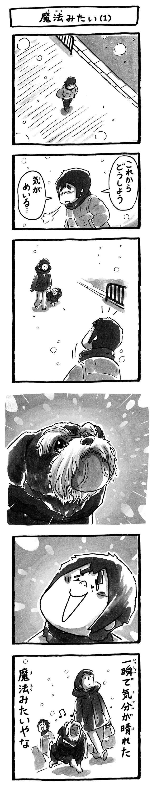 シーズー犬マンガてんぽshihtzu