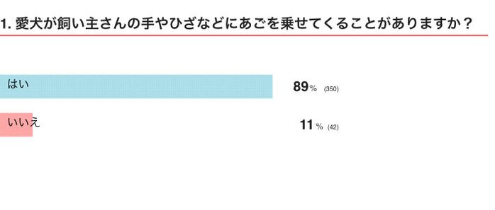 愛犬が手やひざなどにあごを乗せてくることがある?