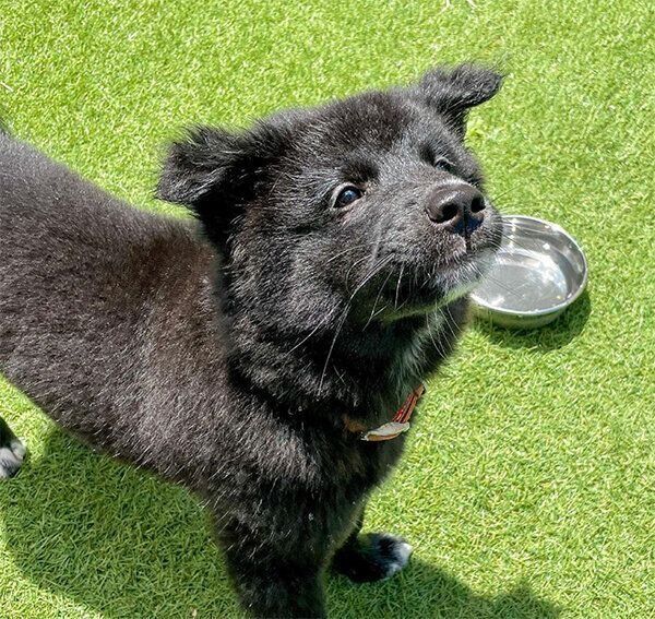 見上げるノアくん