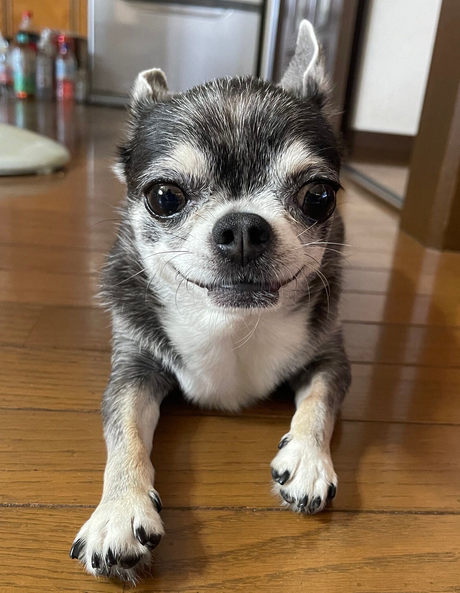 別の日の様子　ニコニコするつぶしゃん
