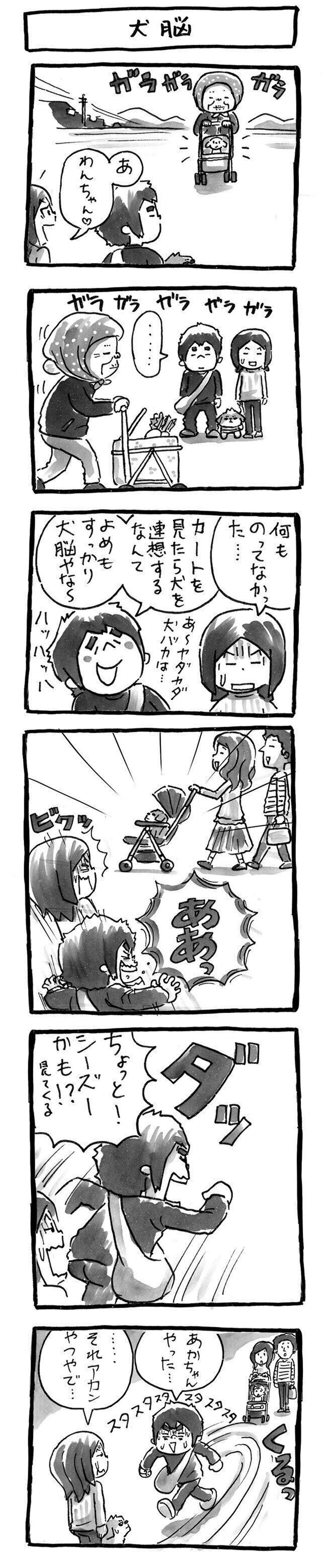 つい犬と関連付けてしまう性分 犬脳ならしかたがない 連載 シーズー犬のてんぽ 第140回 いぬのきもちweb Magazine つい犬と関連付けてしまう性分 犬脳ならしかたがない 連載 シーズー犬のてんぽ 第140回 いぬのきもちweb Magazine