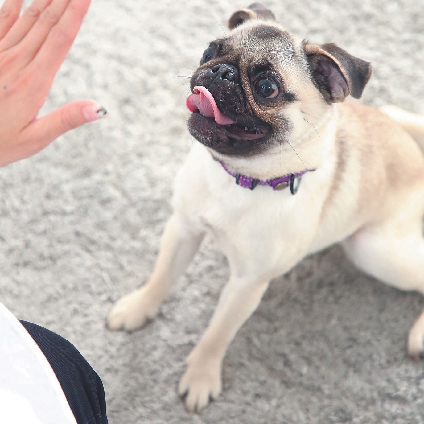 撮影／尾﨑たまき