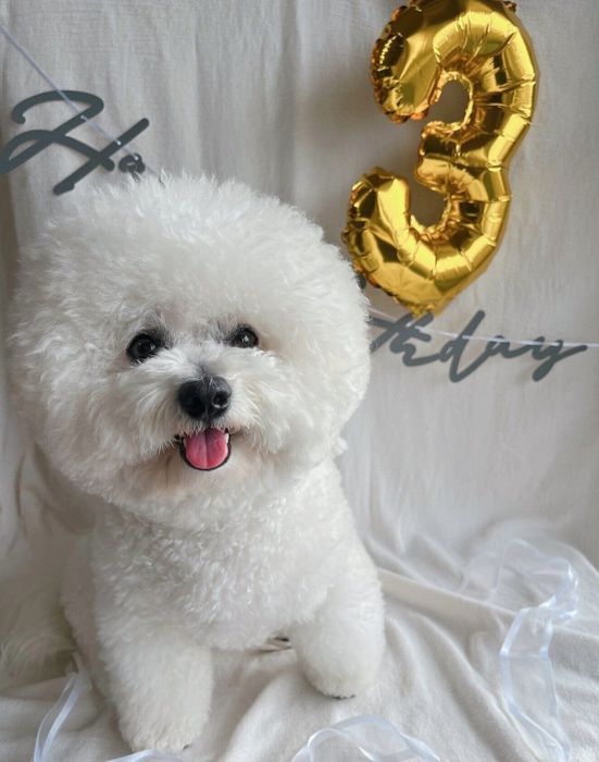 3才になったセトくん