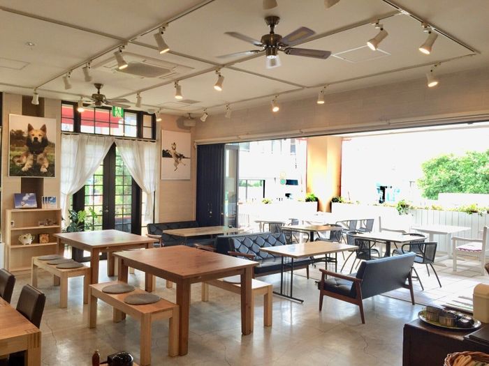 ドッグカフェの店内