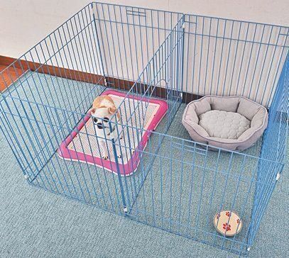 排泄場所と休憩場所を明確に区分してみよう