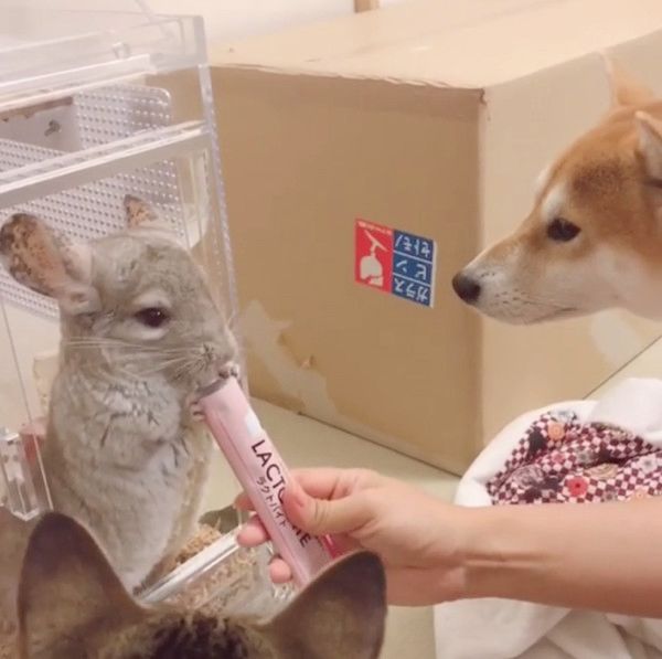 おやつタイムに全員大集合