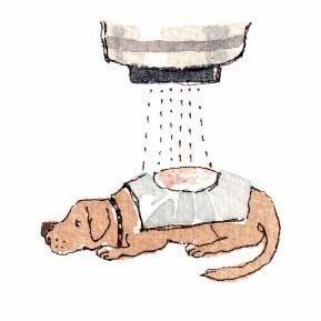 イラスト/フジマツミキ