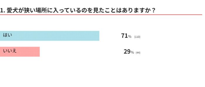 愛犬は狭いところに入る?