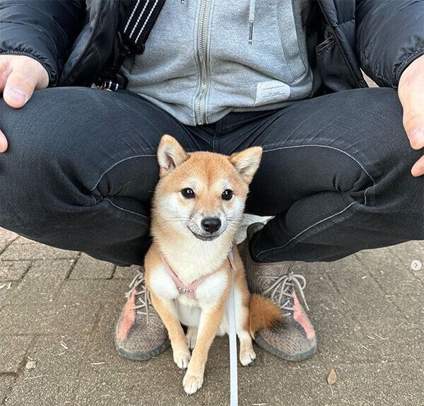 散歩するお茶子ちゃん