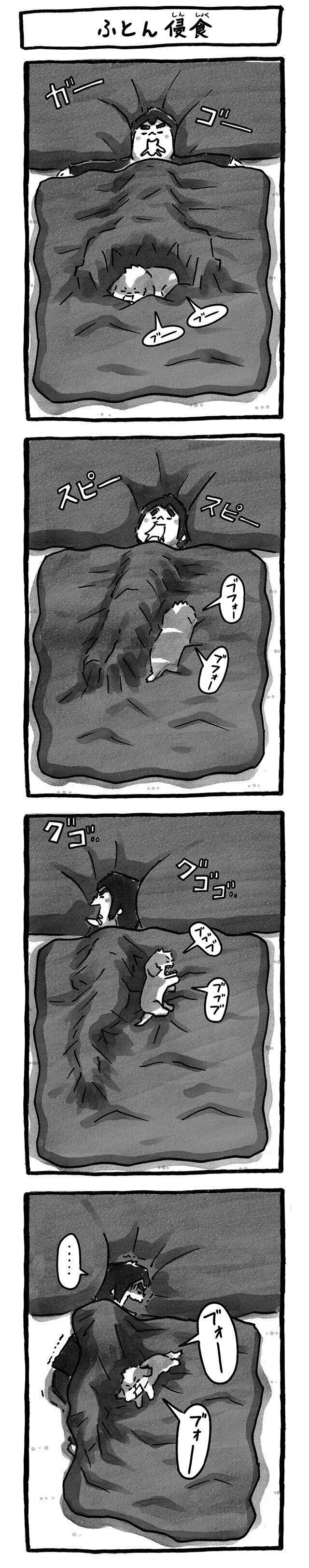 シーズー犬マンガてんぽshihtzu