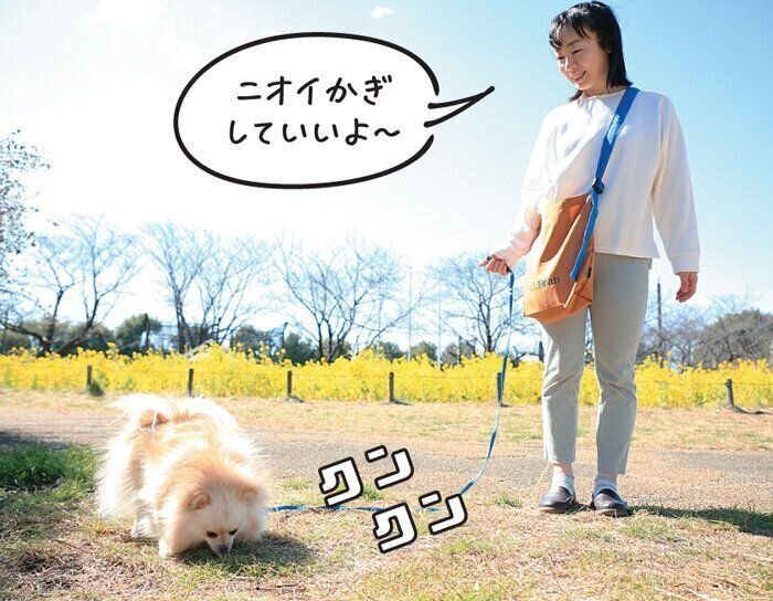 屋外でニオイをかぐ犬