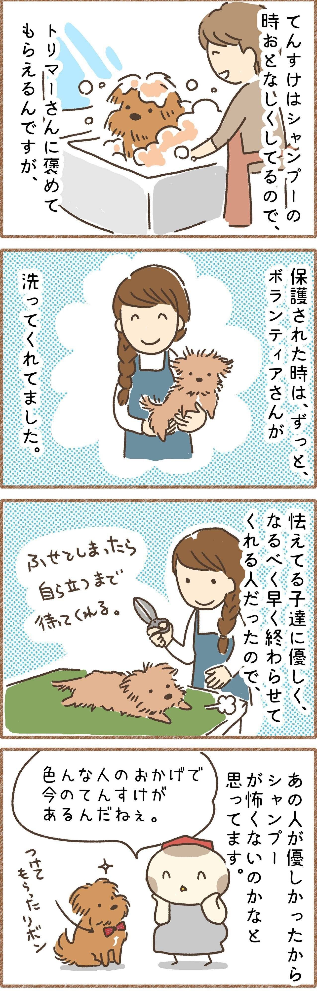 連載「こぐま犬てんすけ」