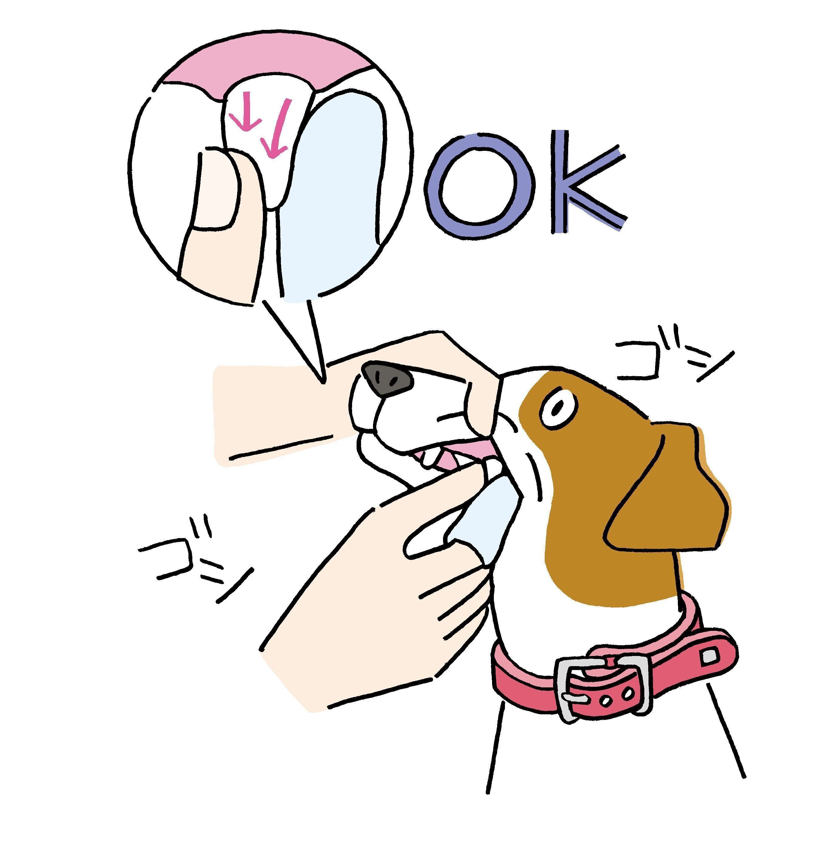 イラスト／福田玲子