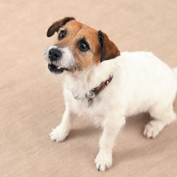 写真／尾﨑たまき