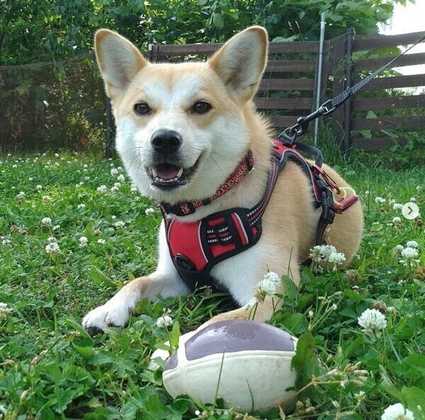 ボールで遊ぶ咲季ちゃん