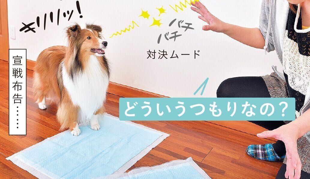 撮影／佐藤正之