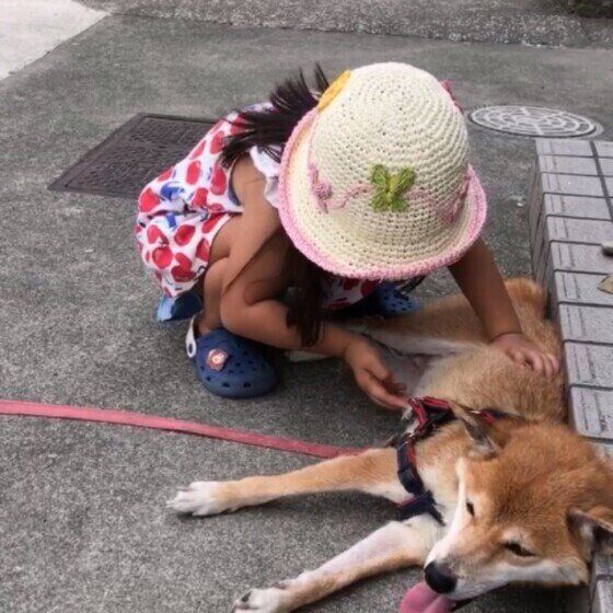 子どもと散歩する犬