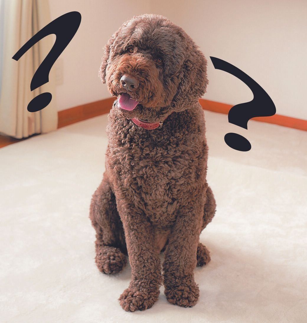 撮影／殿村忠博