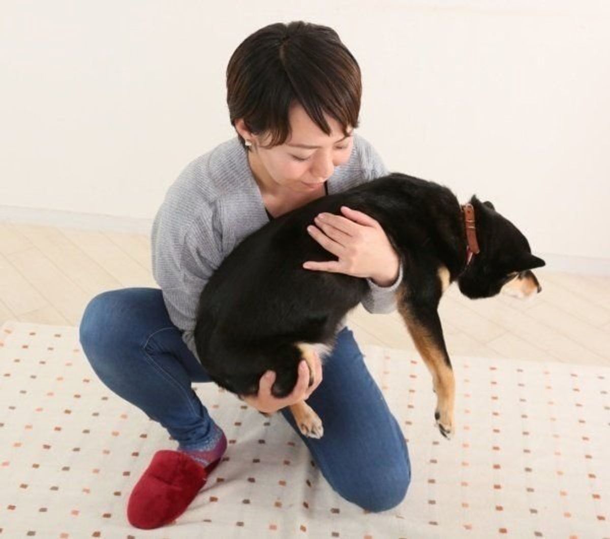 愛犬が落ち着くなで方 抱っこ 中型犬の抱っこの仕方 いぬのきもちweb Magazine 愛犬が落ち着くなで方 抱っこ 中型犬の抱っこの仕方 いぬのきもちweb Magazine