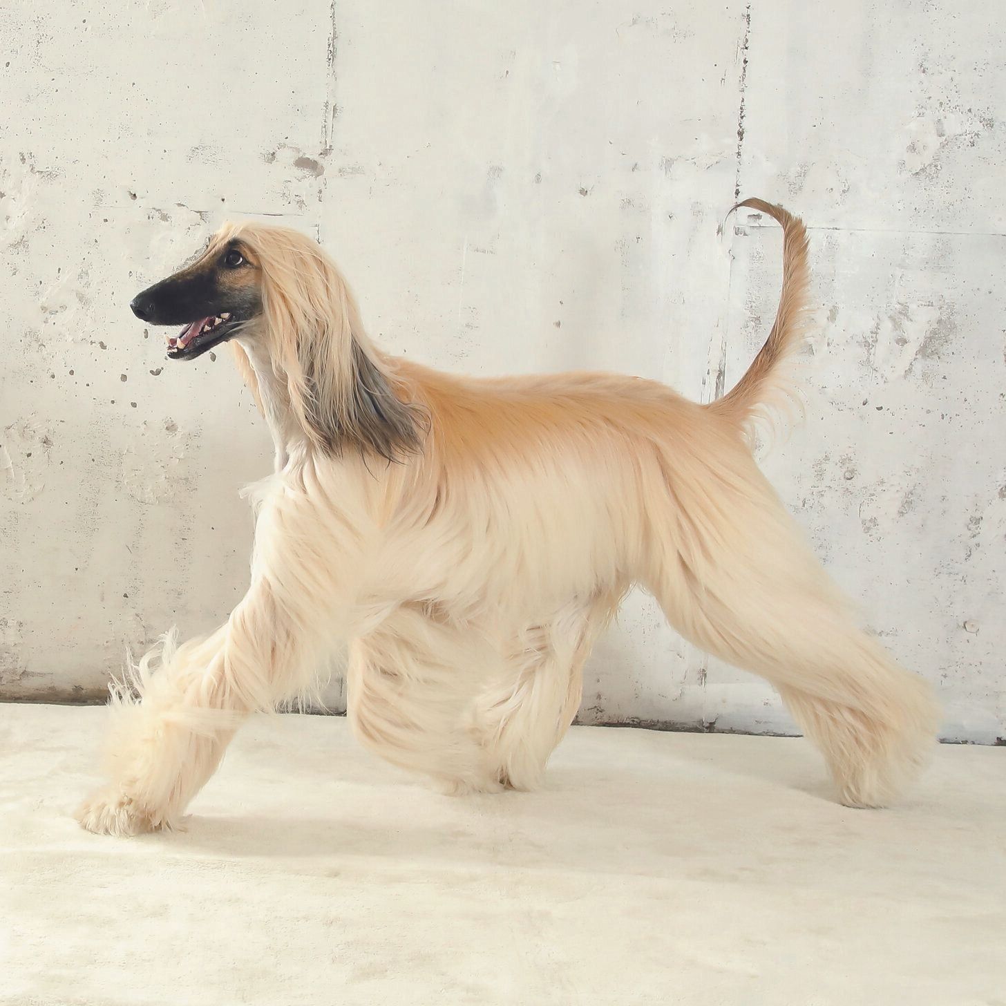 撮影／尾﨑たまき