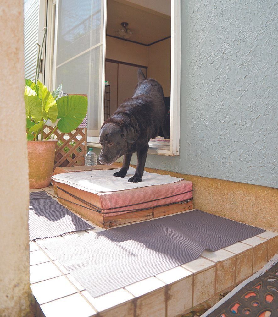 撮影／犬丸美絵