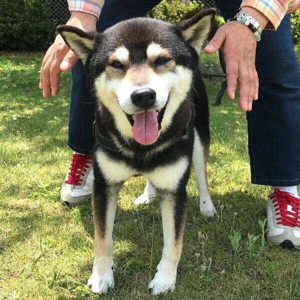 笑顔のとらくん