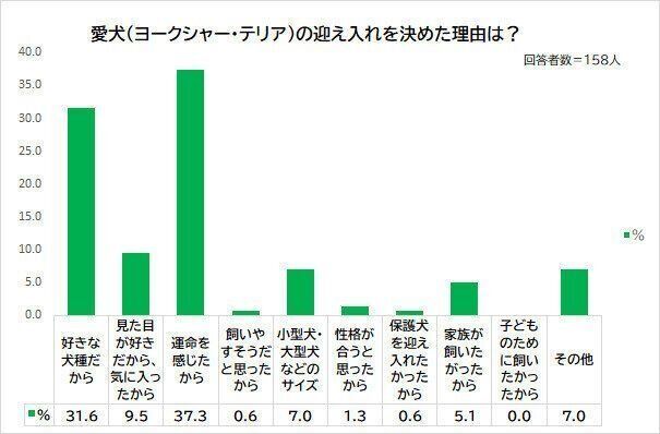 愛犬を迎え入れた理由は?