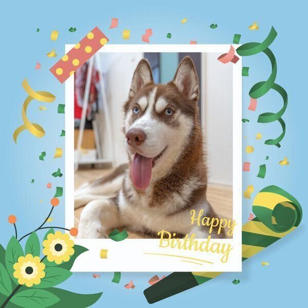 1才になった大吉くん