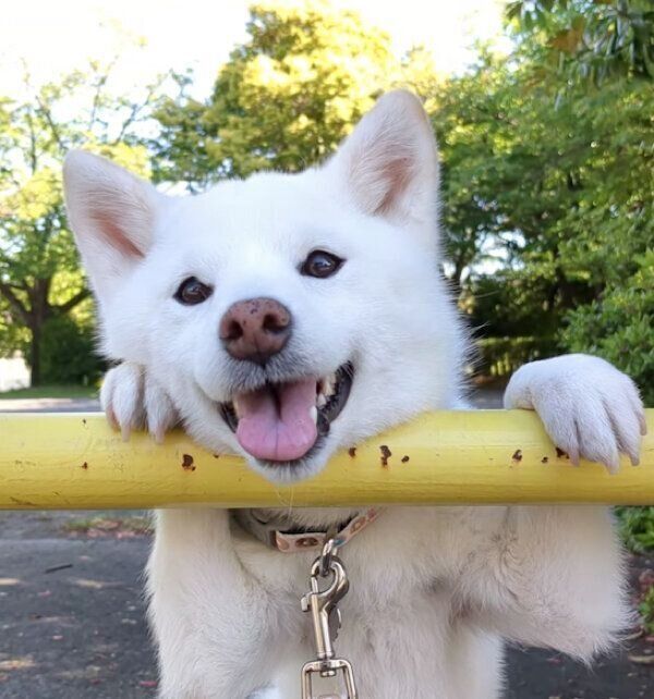 笑顔が可愛いゆずちゃん