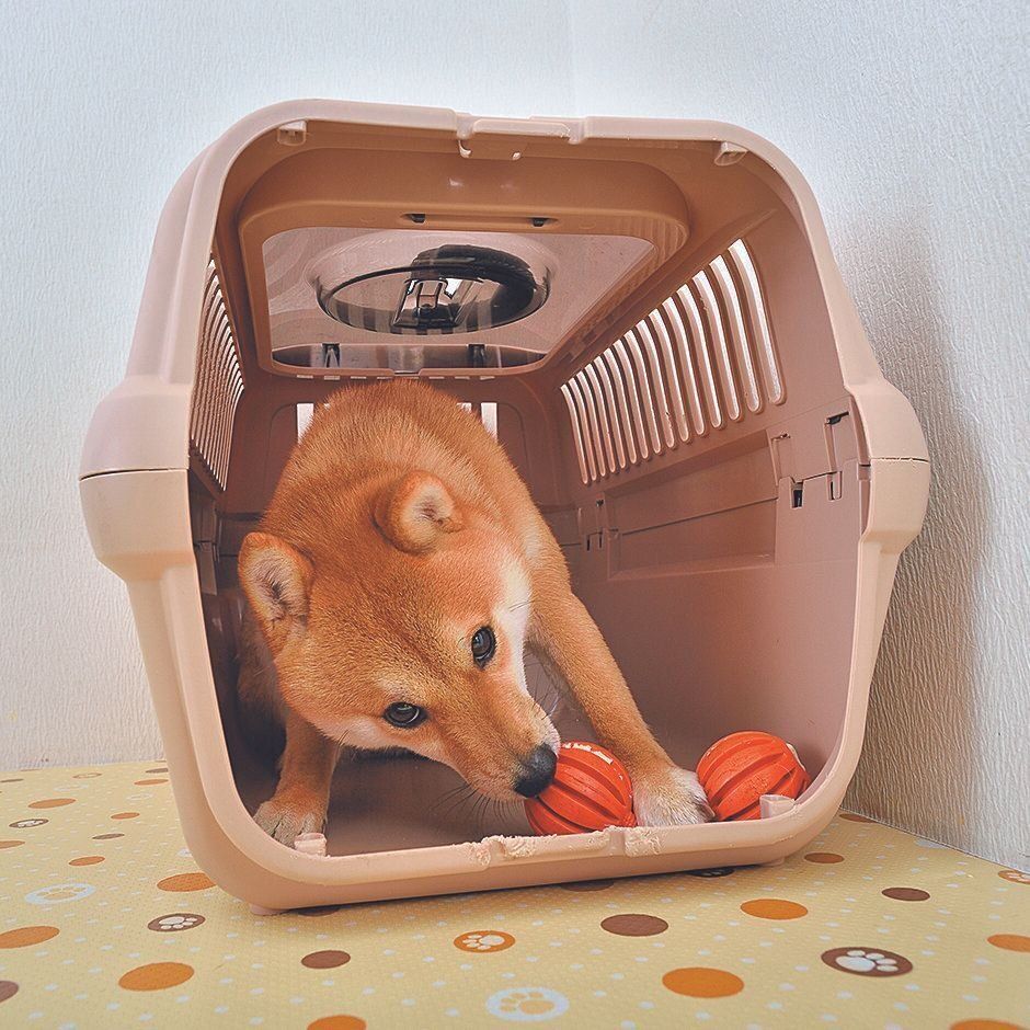 レッスン2～4は、扉をはずして行います