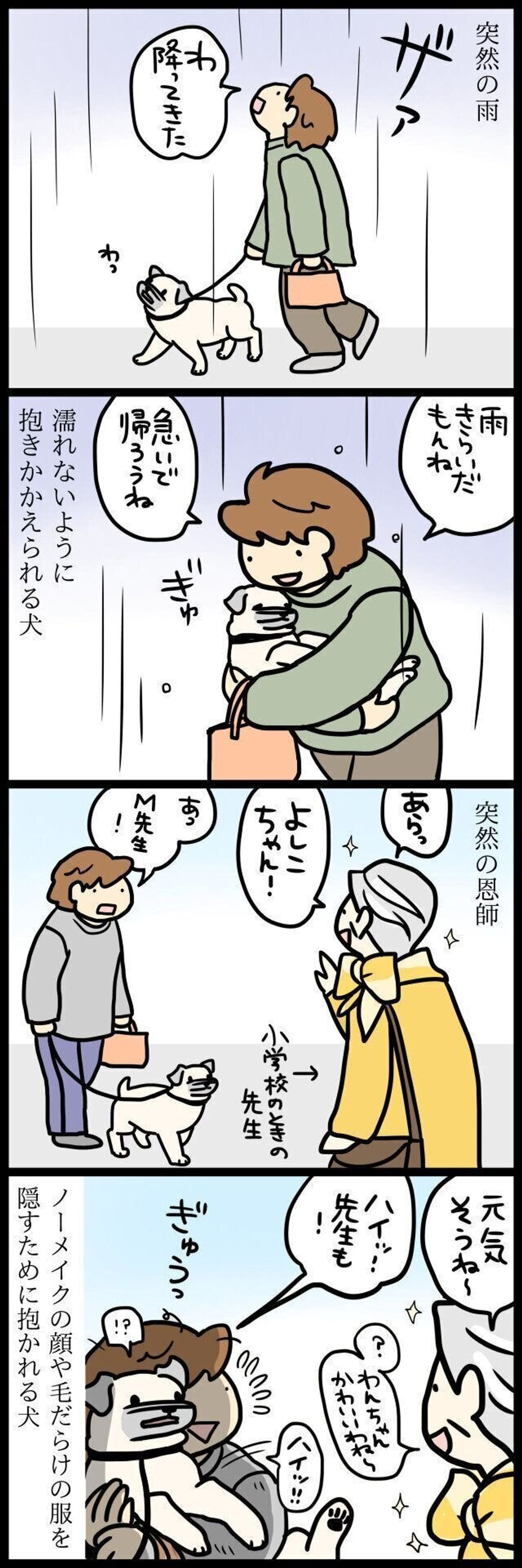 雨が降れば抱っこされ 恩師に会えば抱っこされるパグ犬 連載 パグ犬 めー Vol 127 いぬのきもちweb Magazine 雨が降れば抱っこされ 恩師に会えば抱っこされるパグ犬 連載 パグ犬 めー Vol 127 いぬのきもちweb Magazine