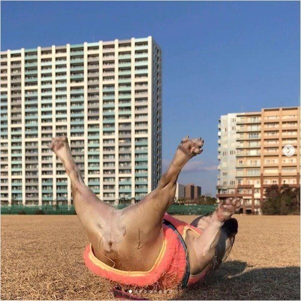 アクロバティックなフレンチ・ブルドッグ