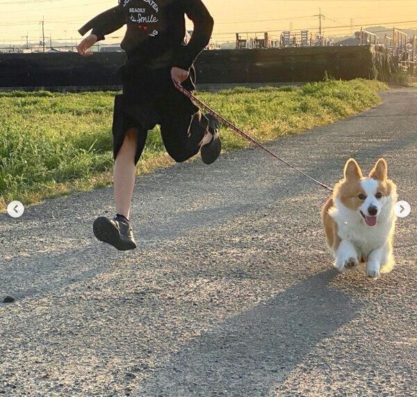 お散歩を楽しむパンさん