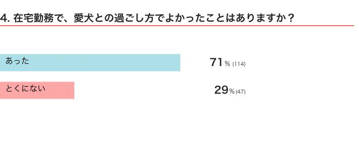 いぬのきもちWEB MAGAZINE　犬飼いさんの在宅ワークに関するアンケートvol.01　169件の回答