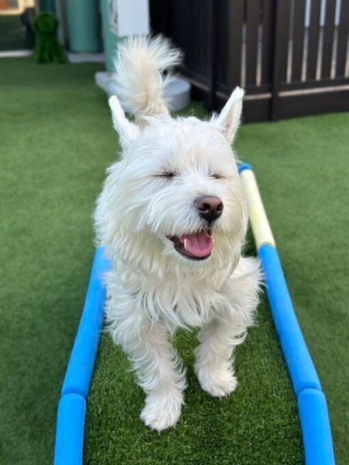 遊んでいるときはずっとニコニコしているというくまたろうくん　周囲の人にもよく「めっちゃ笑ってる！」などと声をかけてもらうのだとか